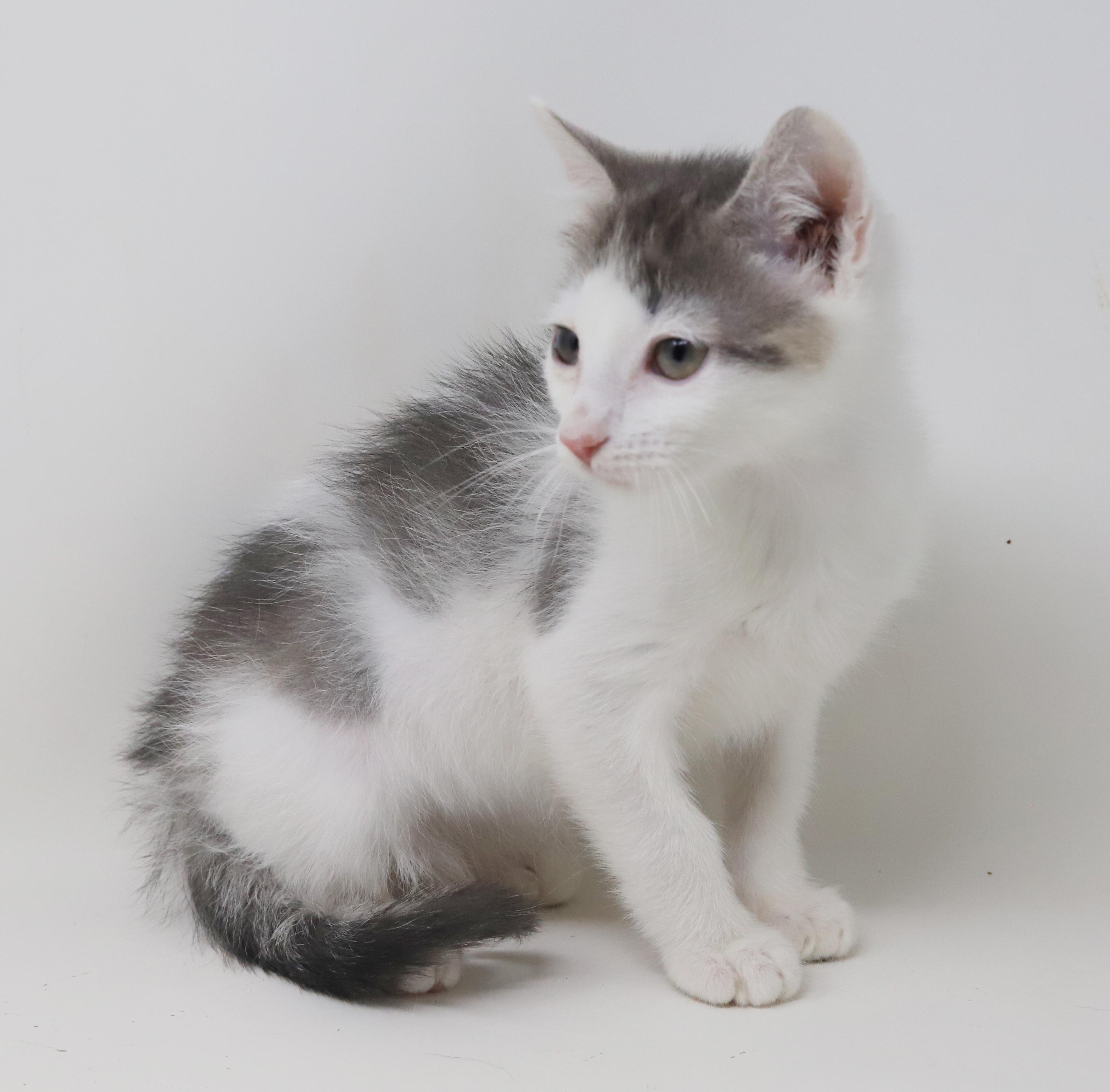 Derby is ready to race into your heart!