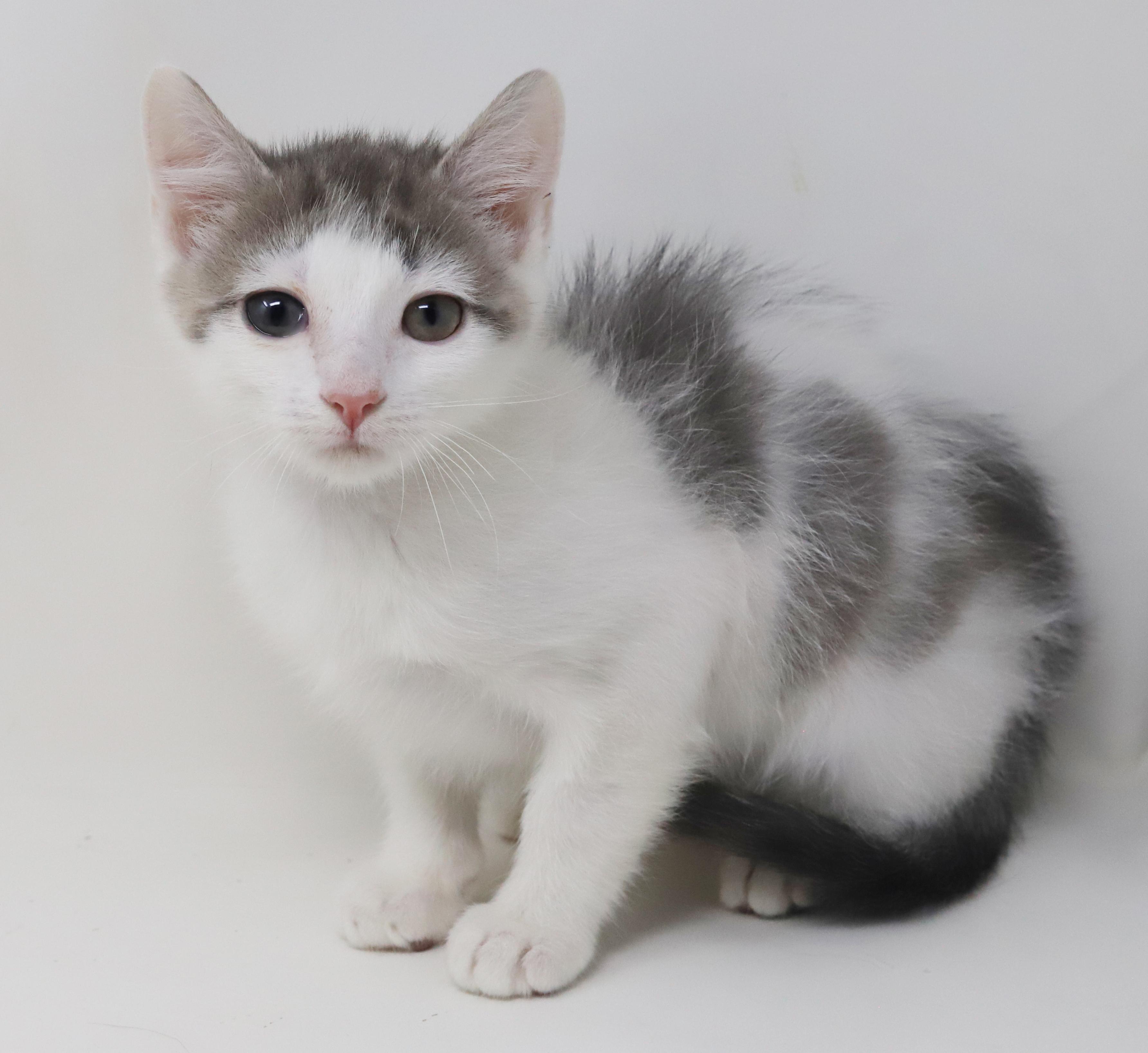 Derby is ready to race into your heart!