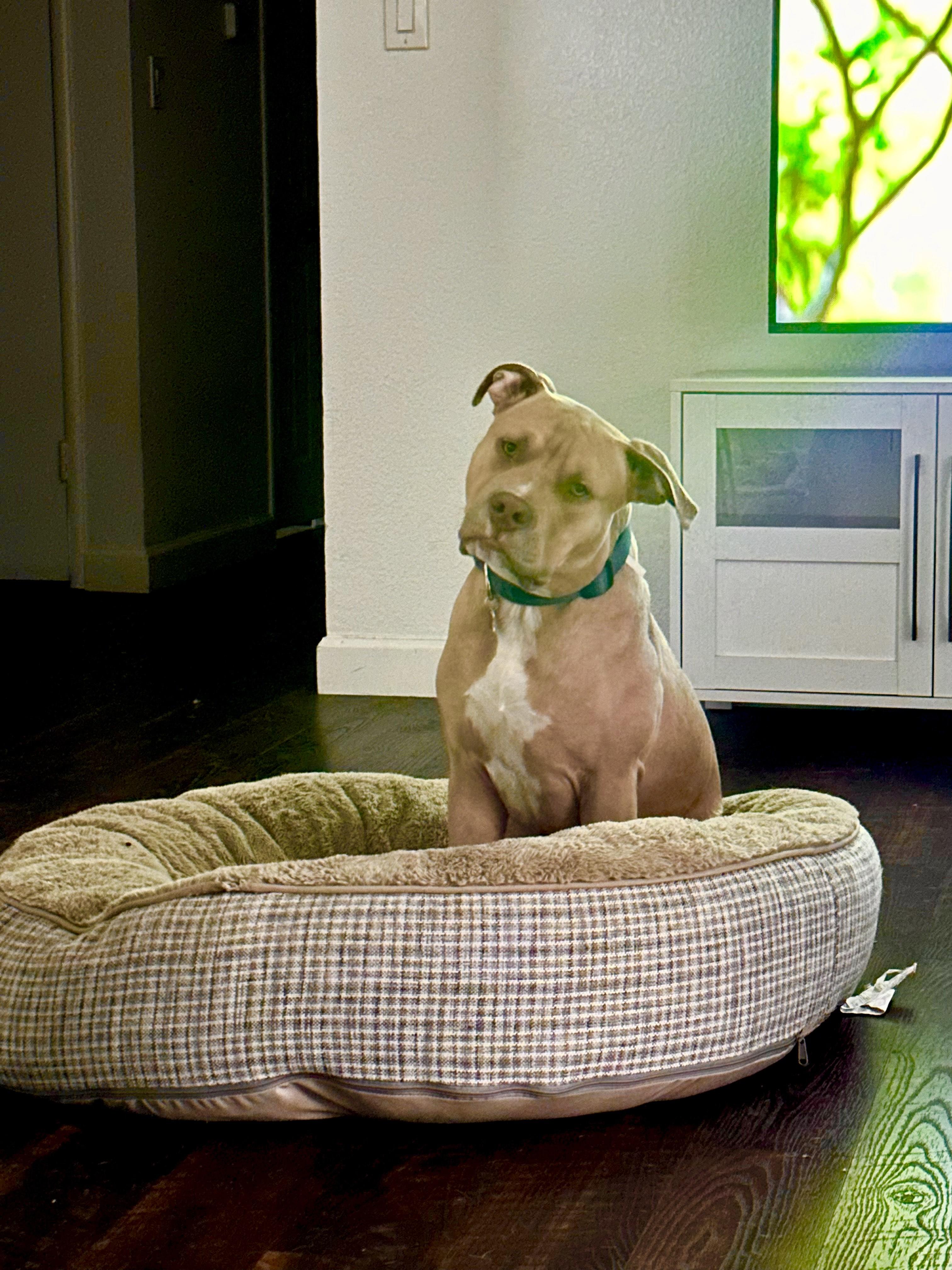 Bruce photo 5