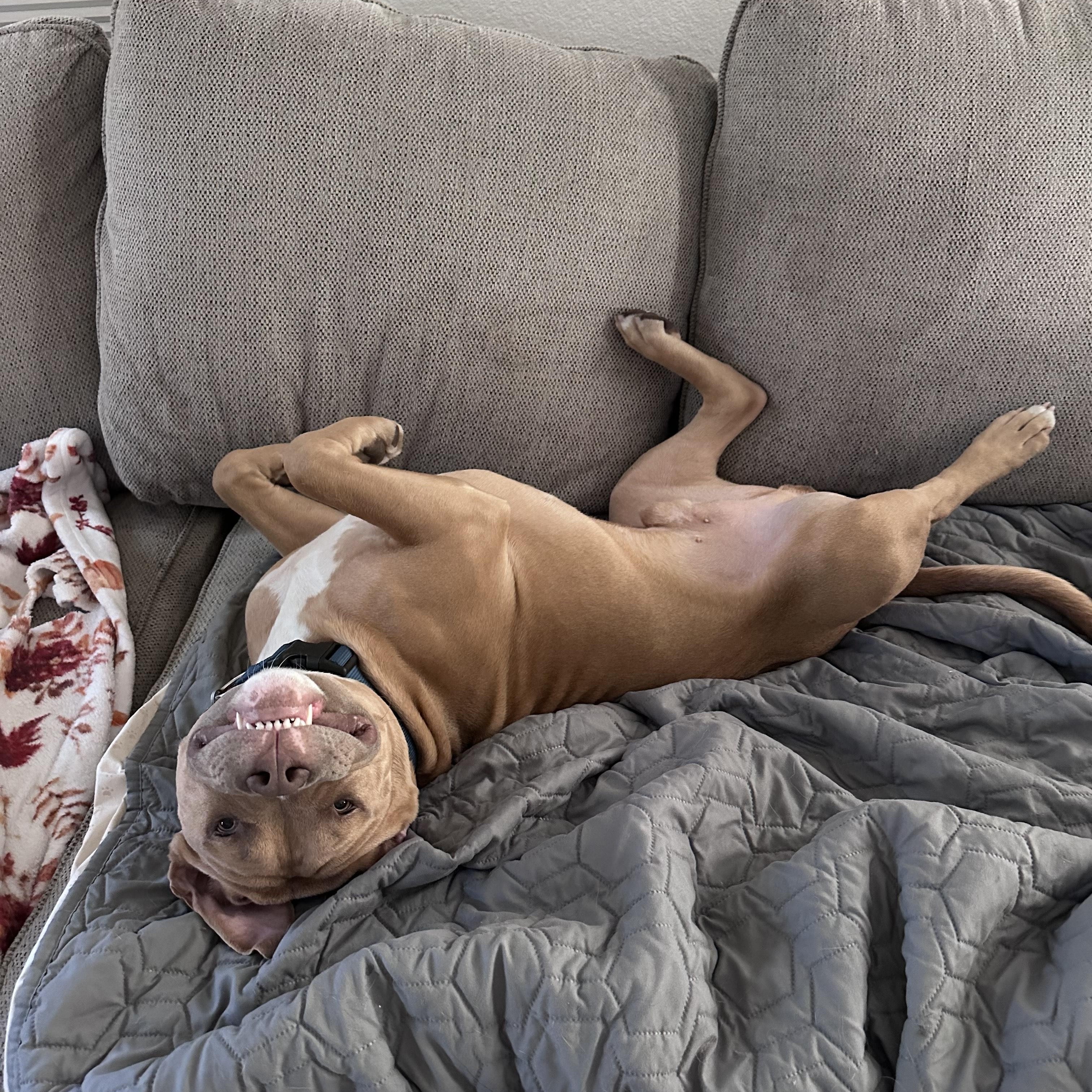 Bruce photo 6