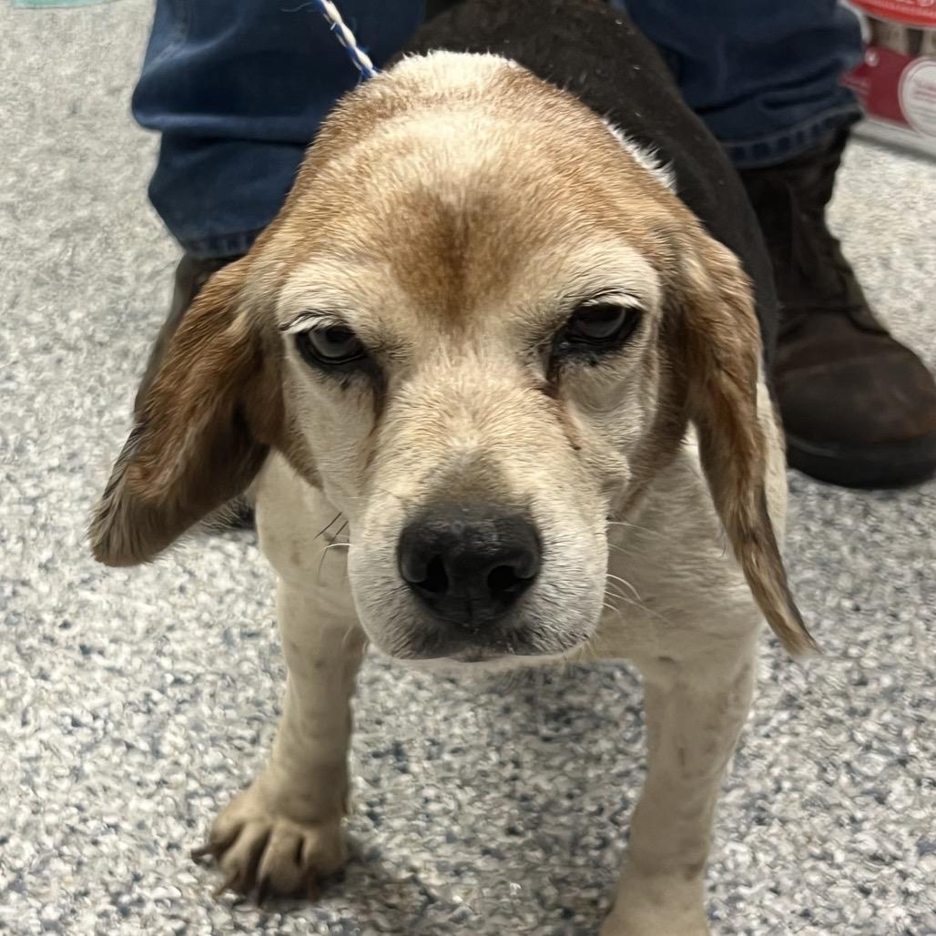 Barb — thumbnail 4