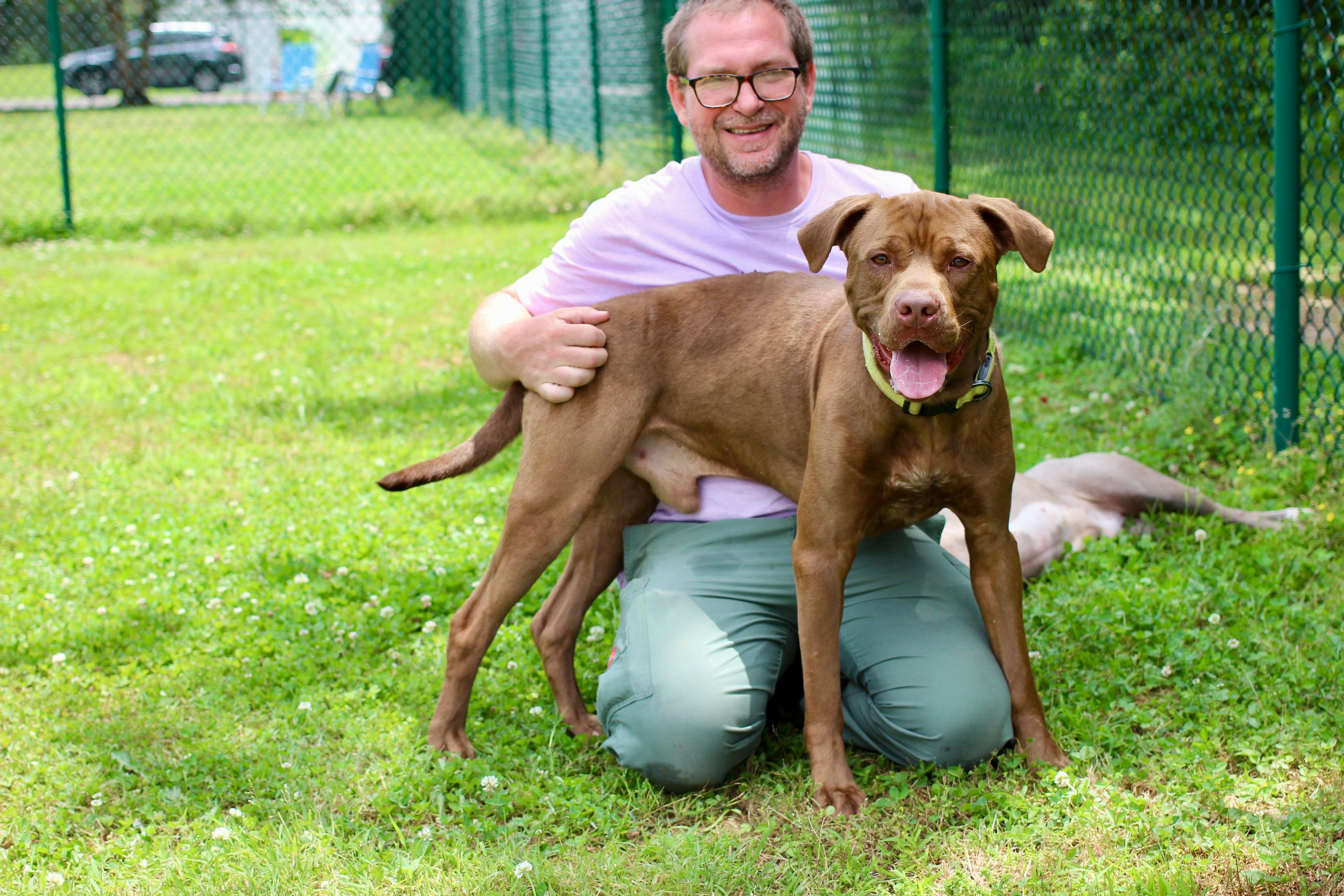 Bruno, a Adoptable mixed breed in Saluda, VA image 6/6