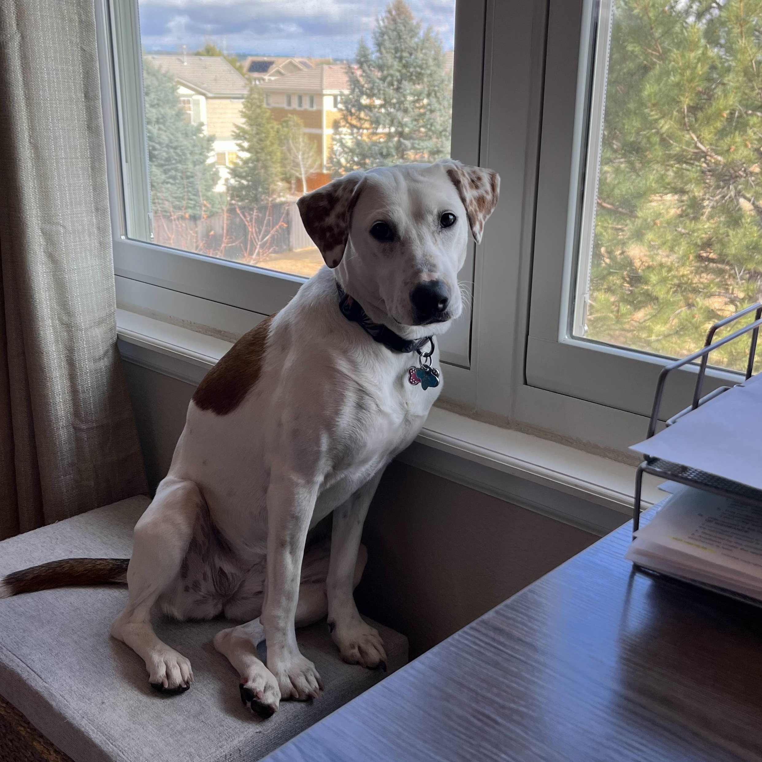 Lucy — thumbnail 5