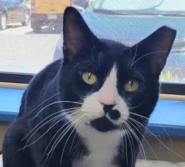 Tux