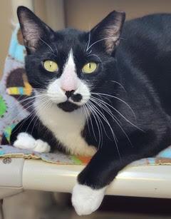 Tux