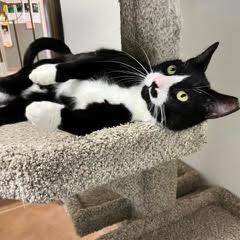 Tux