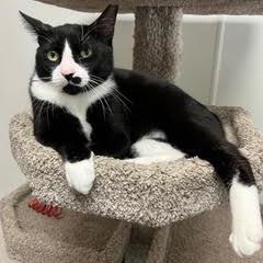Tux