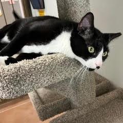 Tux