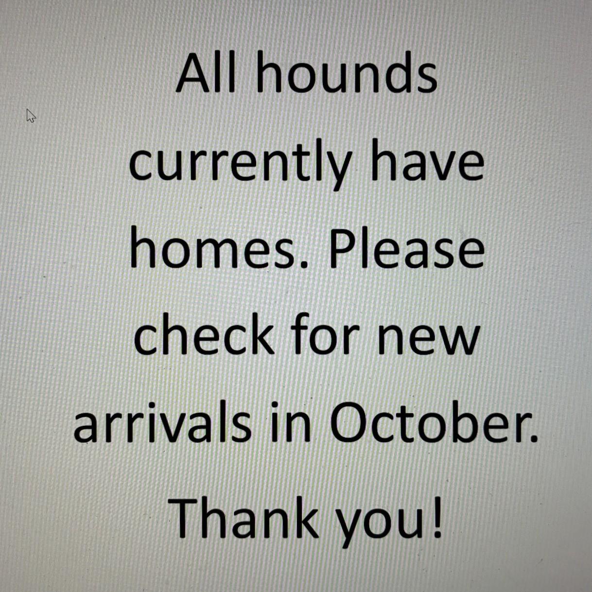 Enlarge Check Back Soon, a Adoptable Greyhound in Chagrin Falls, OH image 1/1