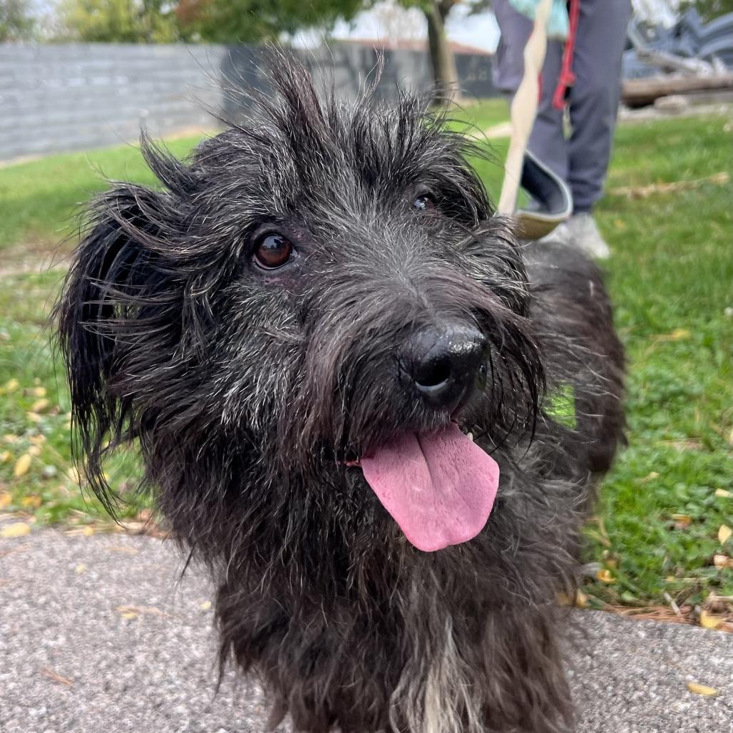 Channing thumbnail 2