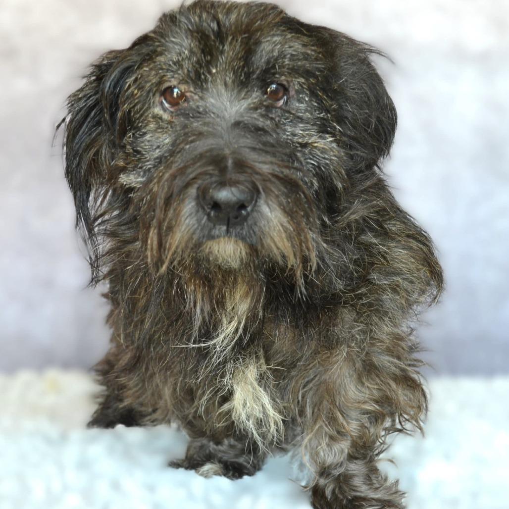 Channing thumbnail 3