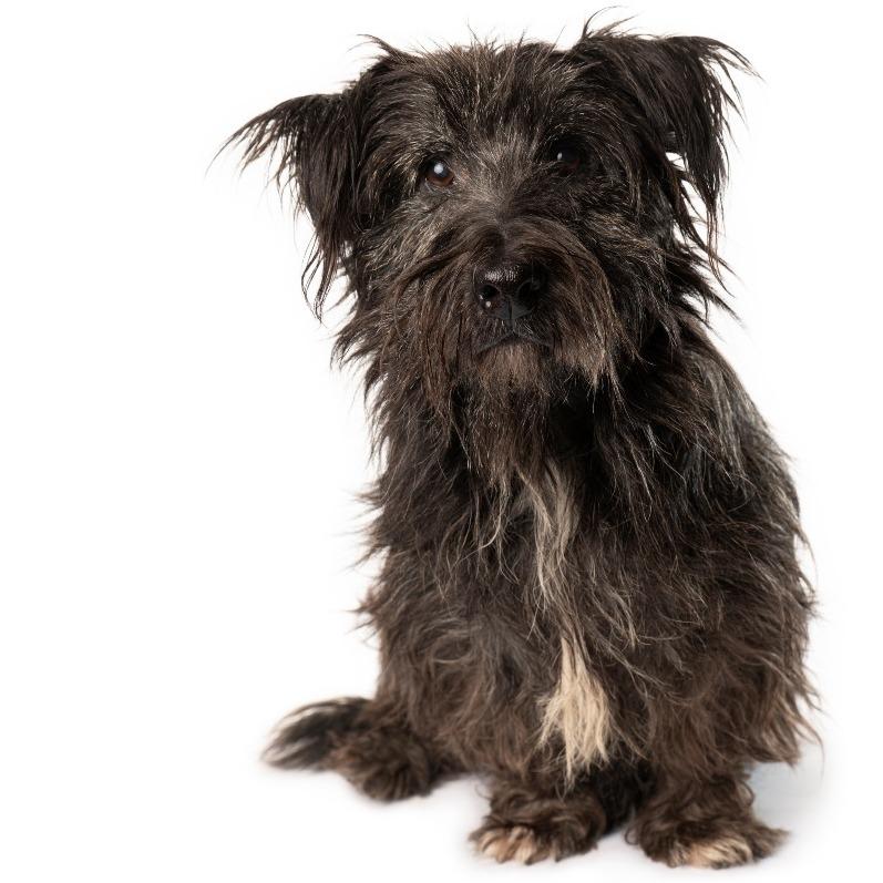 Channing thumbnail 4