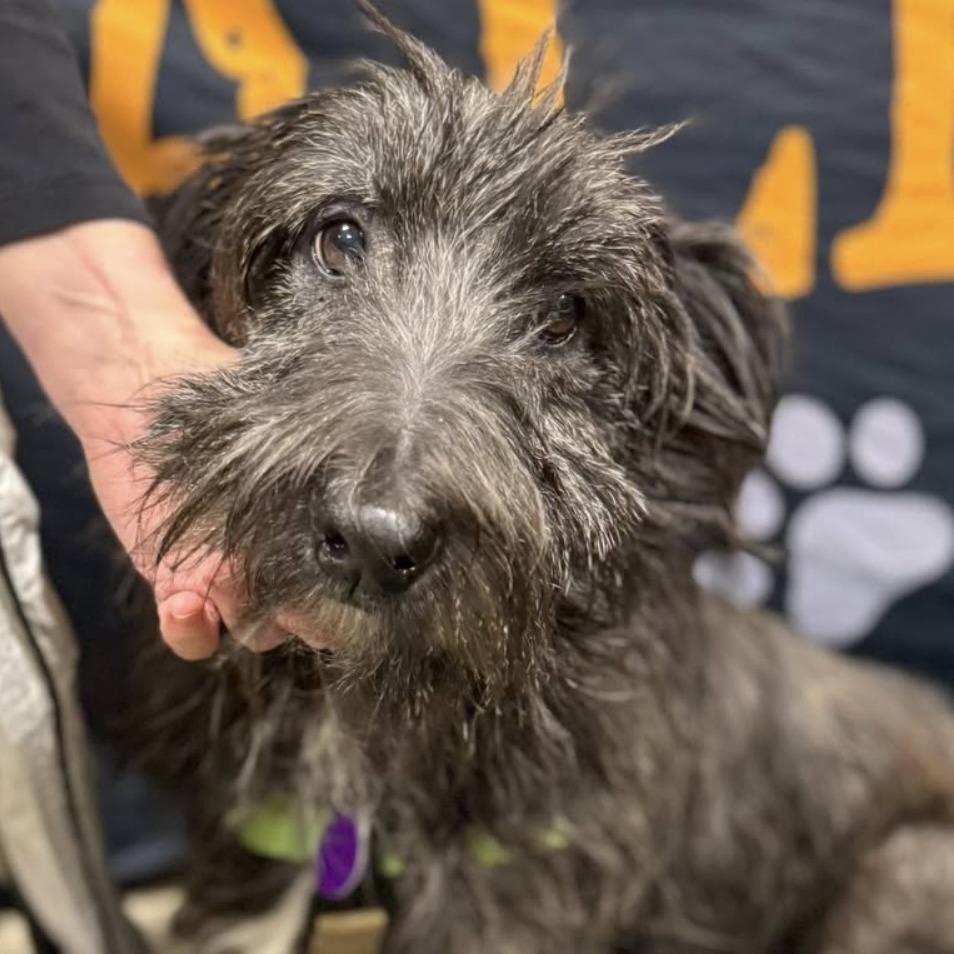 Channing thumbnail 5