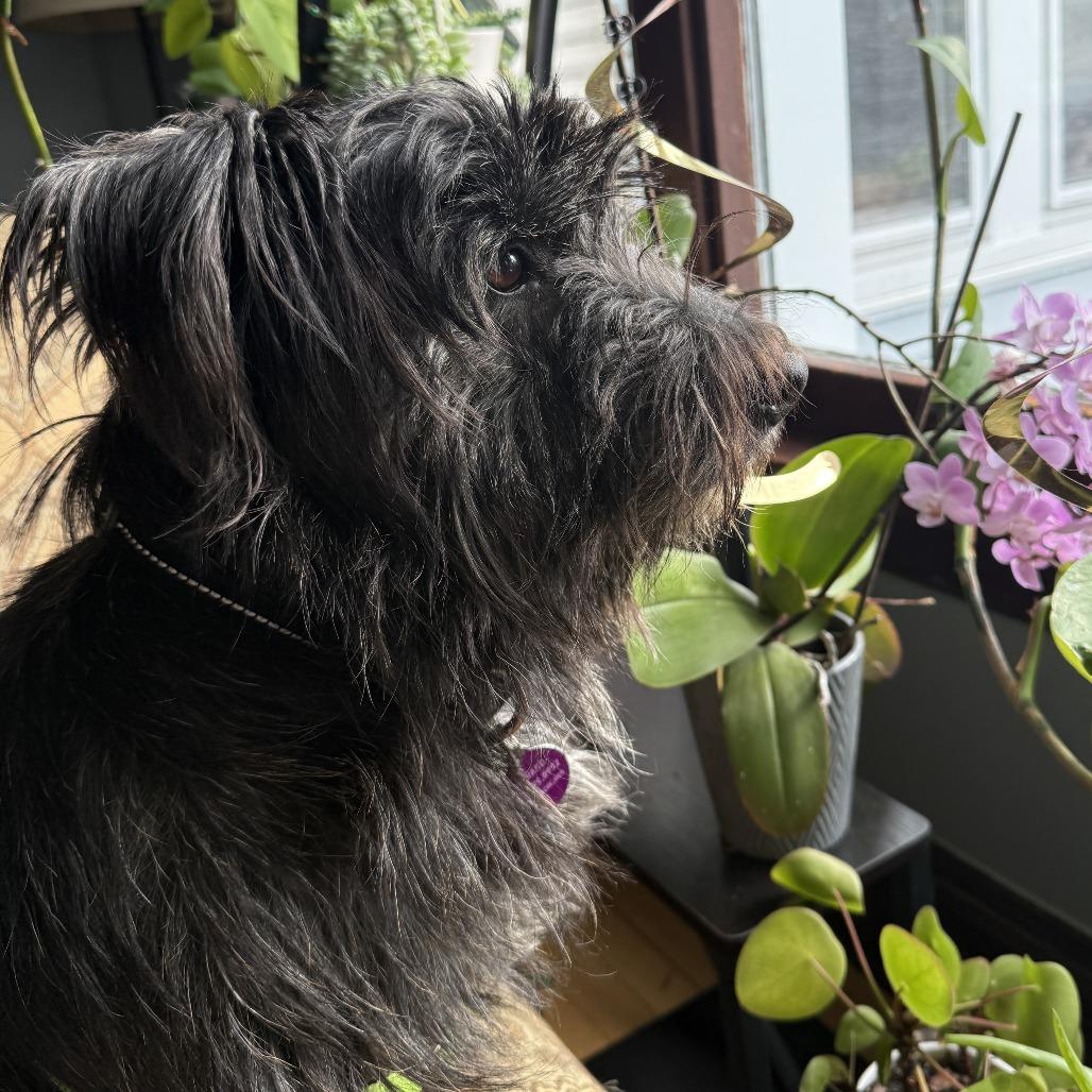 Channing thumbnail 6