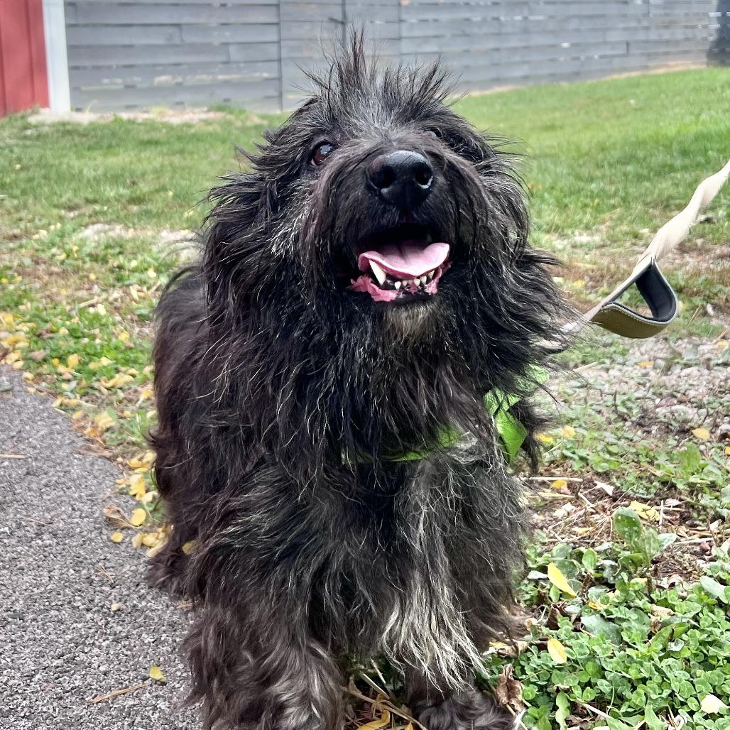 Channing thumbnail 7