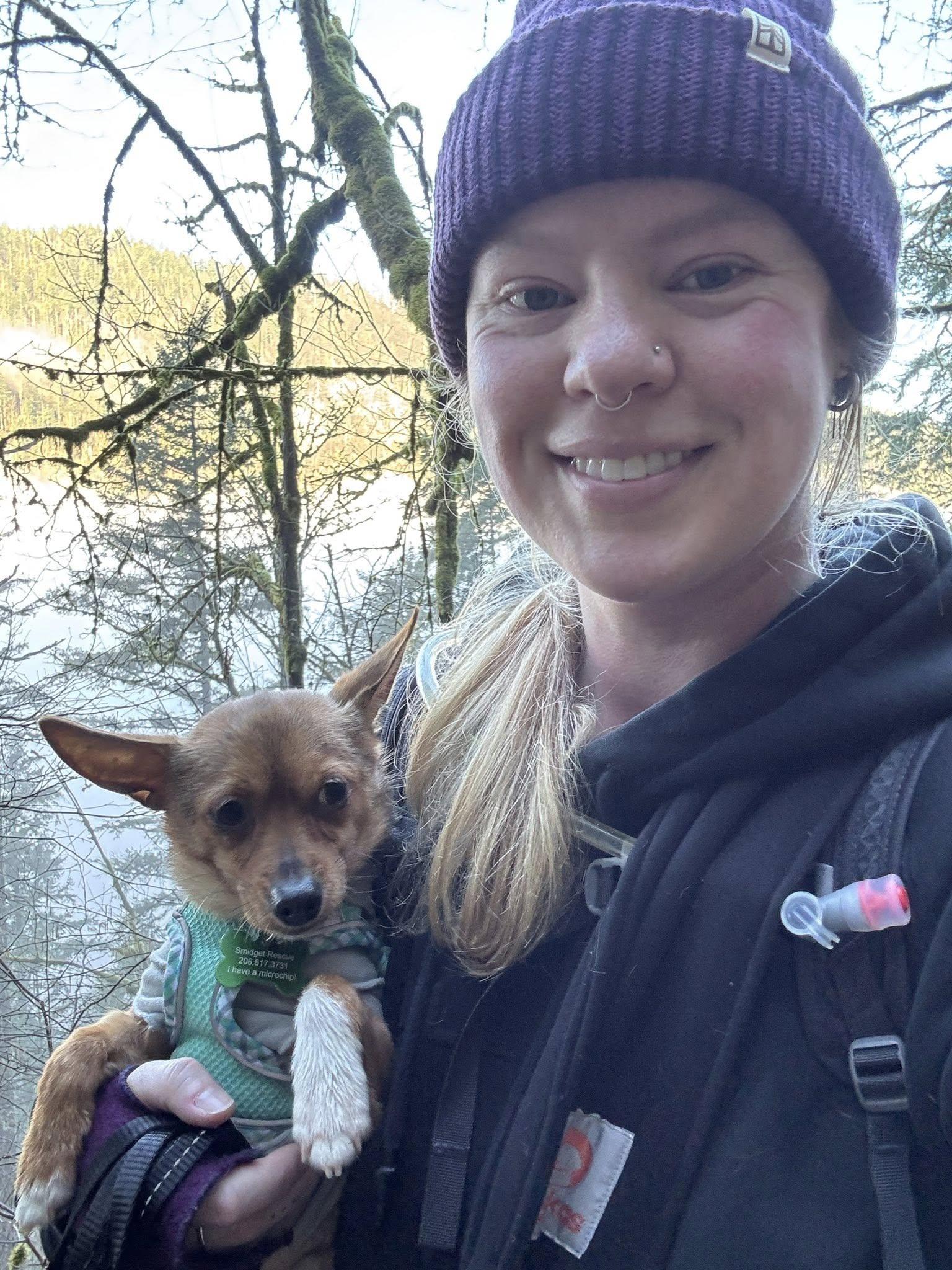 Enlarge Kikkoman, a ADOPTABLE mixed breed in Covington, WA image 3/6