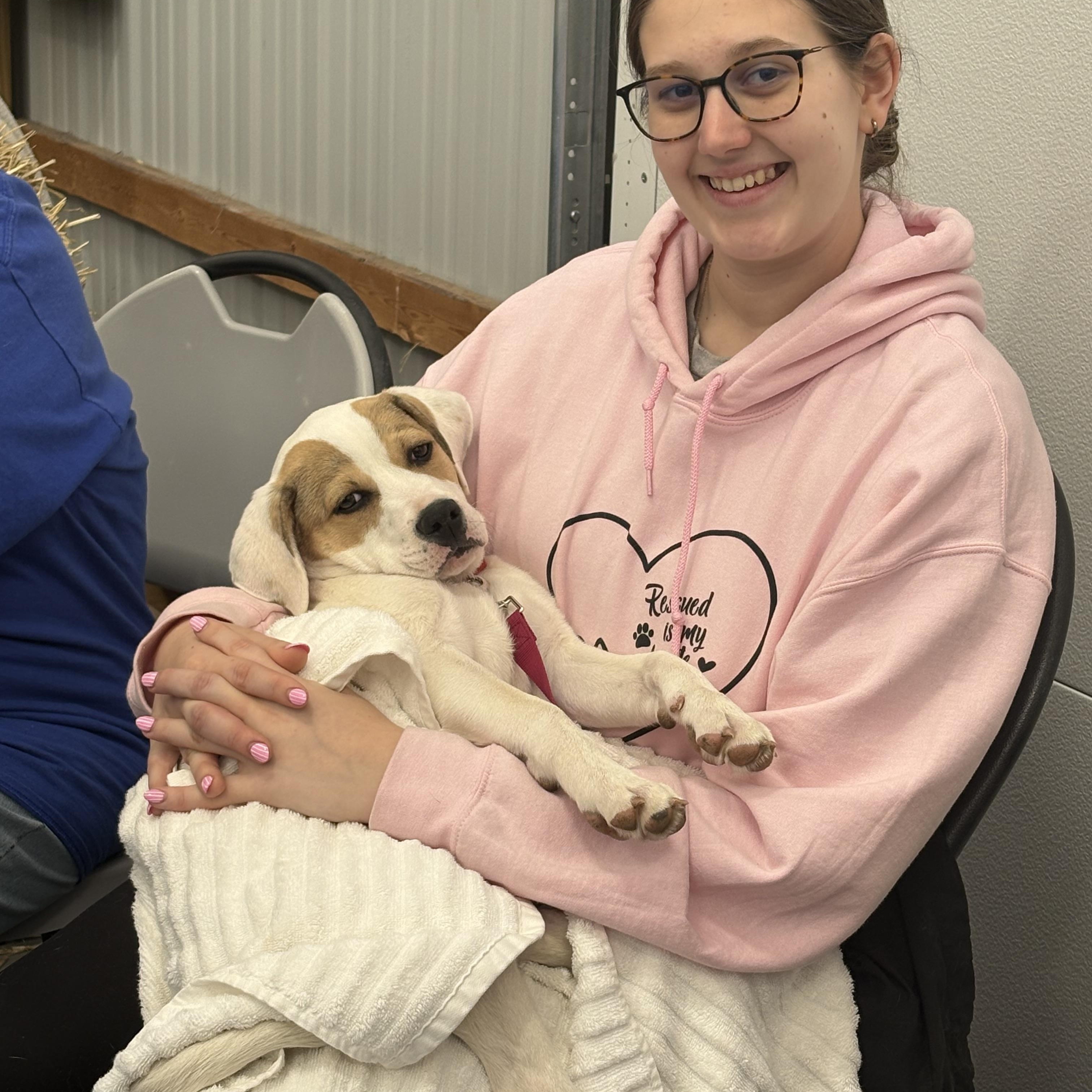 Enlarge Gracie, a ADOPTABLE mixed breed in Hillsdale, NY image 2/3