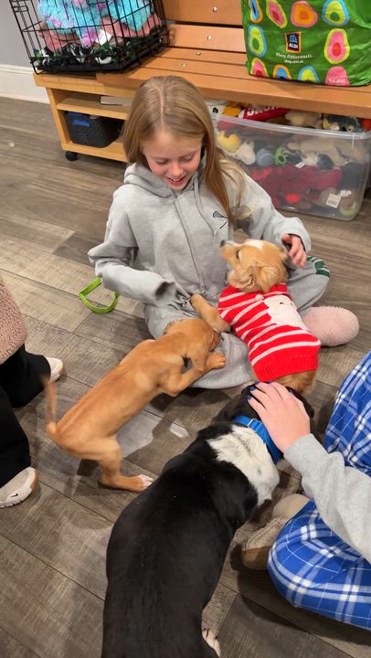 Enlarge Peanut Butter, an adopted mixed breed in Mahwah, NJ video 5/5