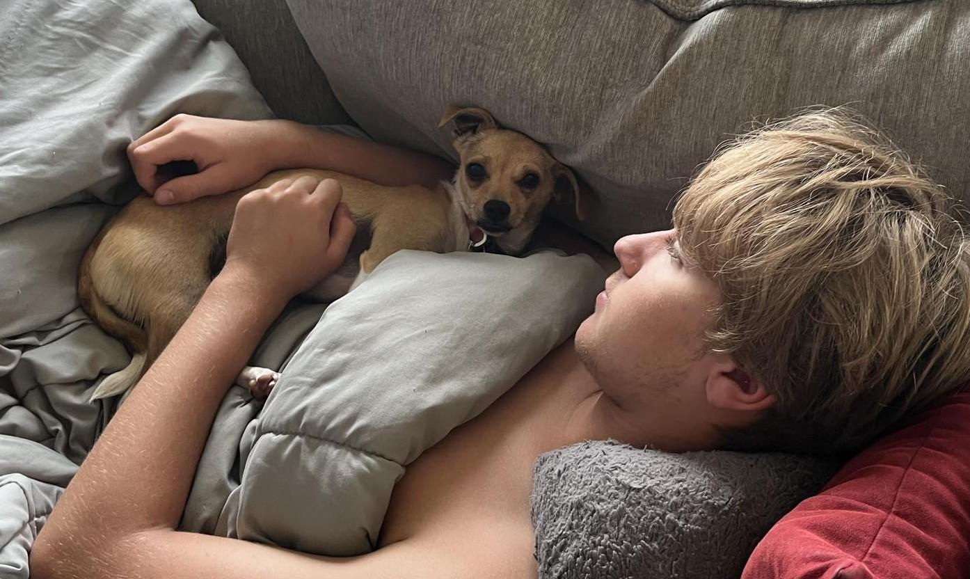 Enlarge Wednesday, a Adoptable mixed breed in Covington, WA image 2/5