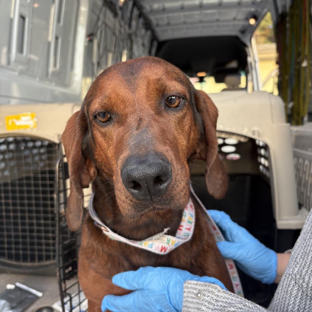 Norma Jean — thumbnail 3