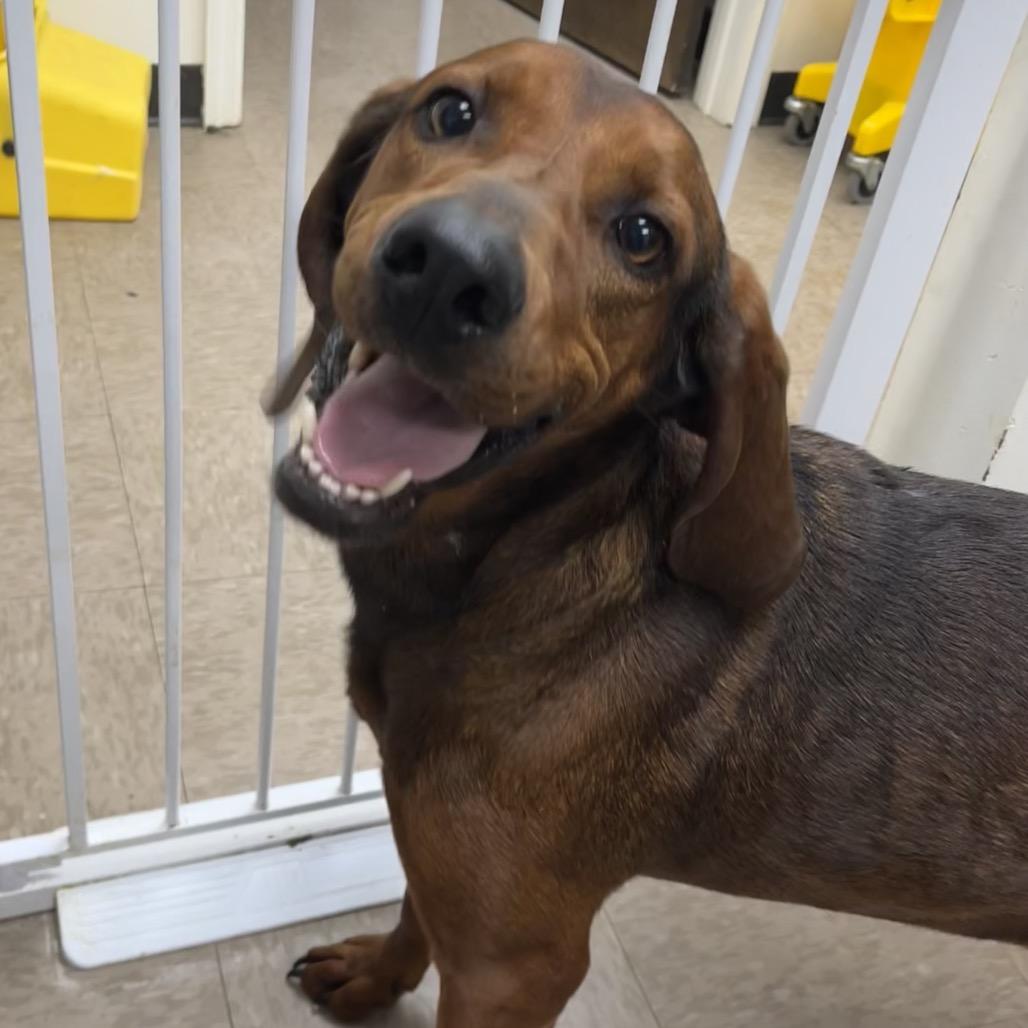 Norma Jean — thumbnail 5