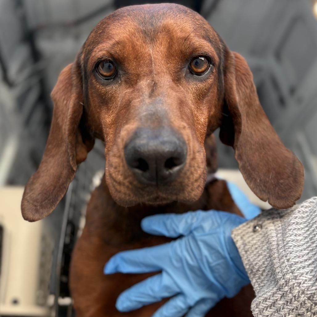 Norma Jean — thumbnail 6