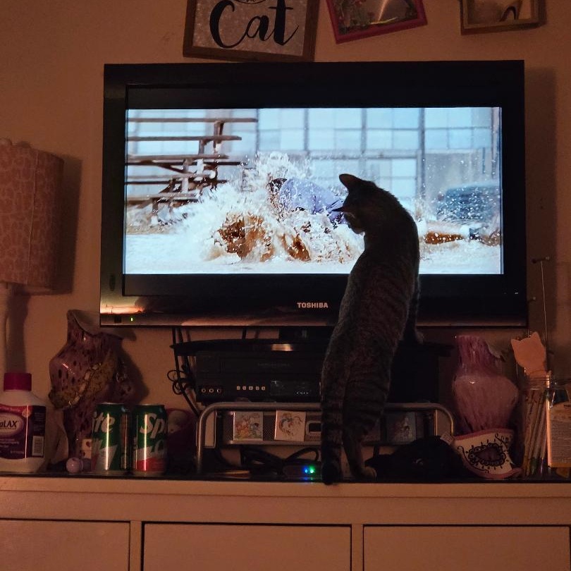 Princess Powder Puff