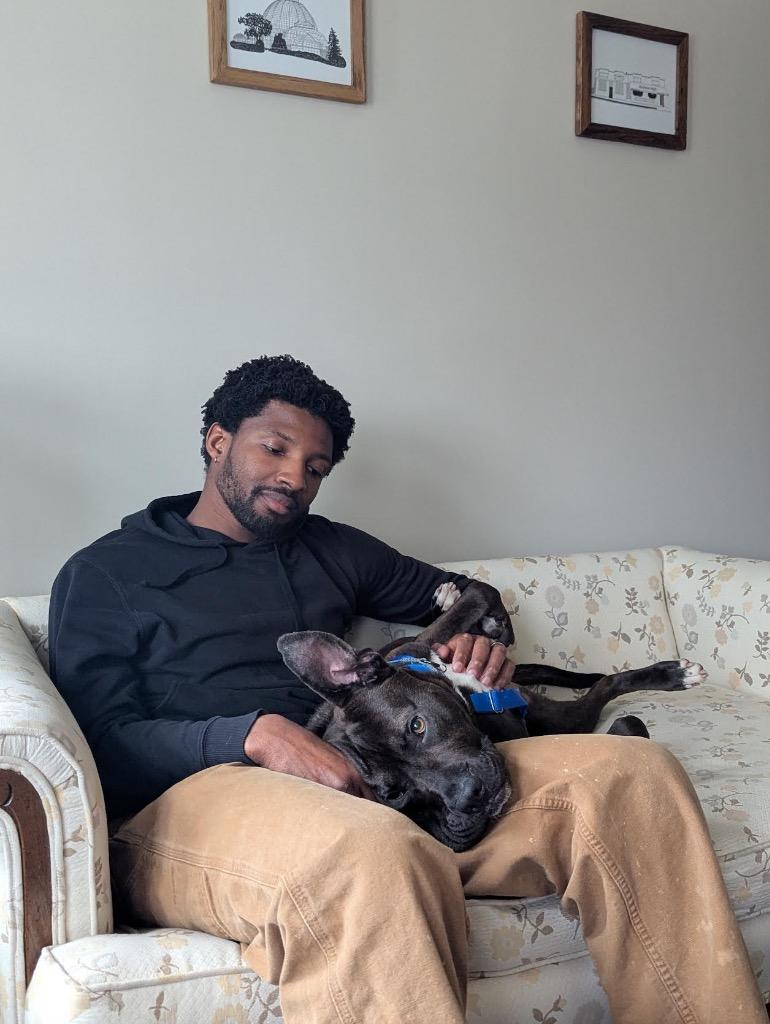 Enlarge Northern Sky, a Adoptable mixed breed in Detroit, MI image 4/6