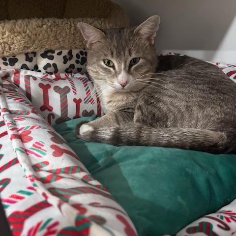 Patrick — thumbnail 2