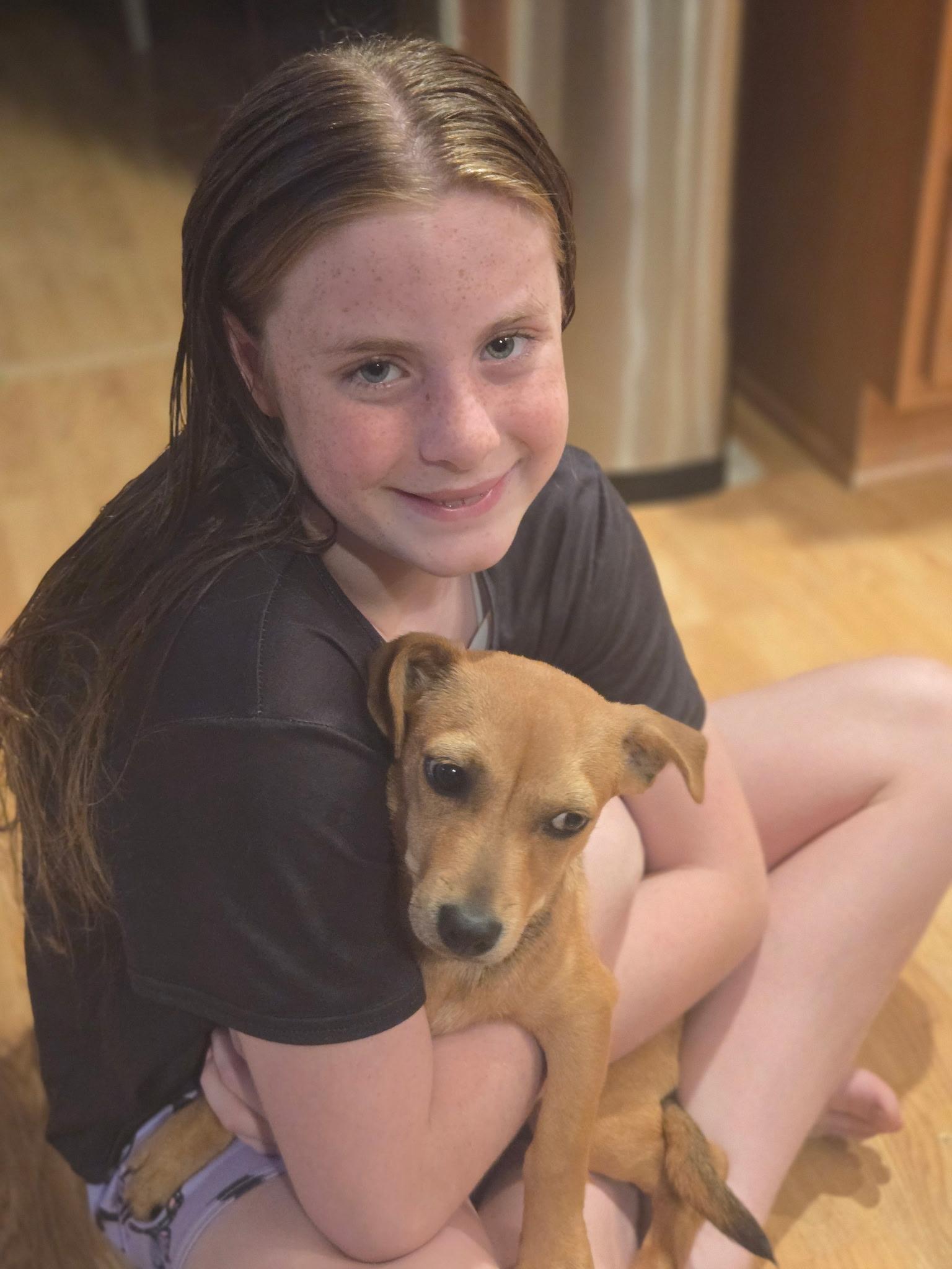 Enlarge Terrie, a ADOPTABLE mixed breed in Barnegat, NJ image 2/5