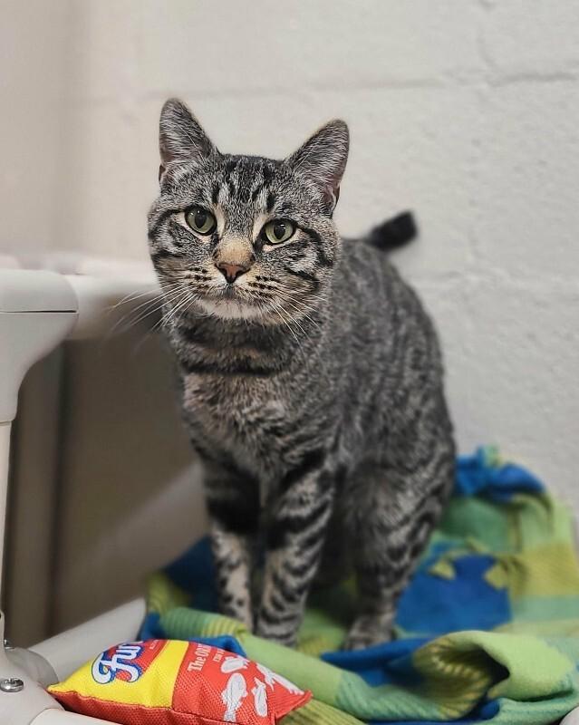 Mr. Magoo — thumbnail 3