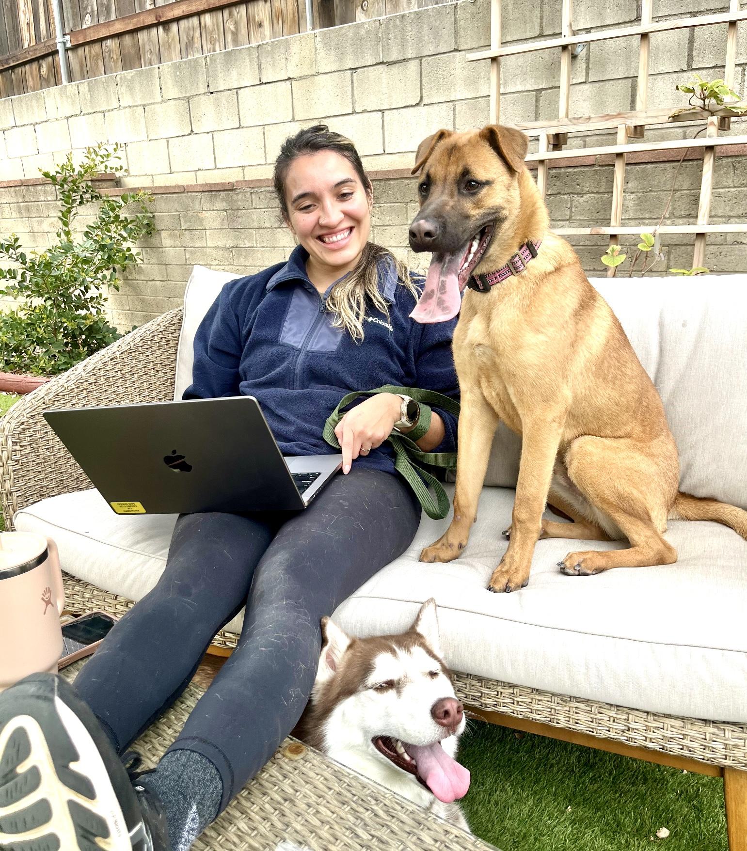 Churro , a ADOPTABLE mixed breed in San Diego, CA image 6/6