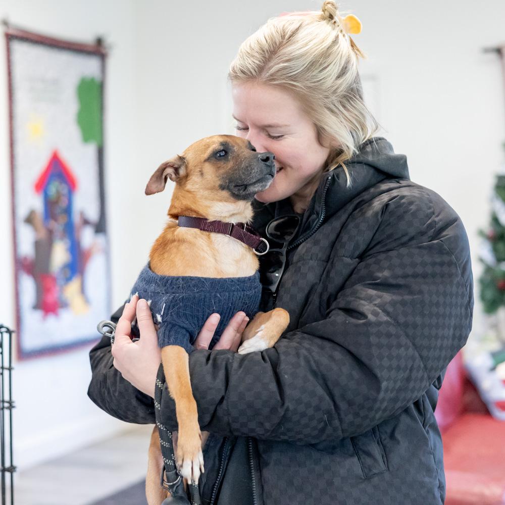 Enlarge Waldo (Male) , an adopted mixed breed in West Grove, PA image 6/6