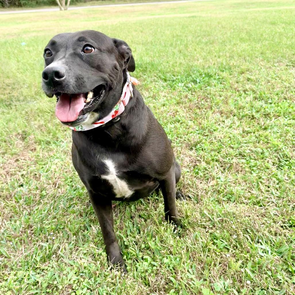 Mercedes — thumbnail 5