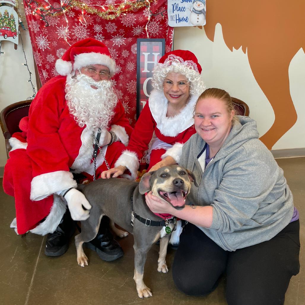 Enlarge Liz, a Adoptable Pit Bull Terrier in Tulsa, OK image 4/6
