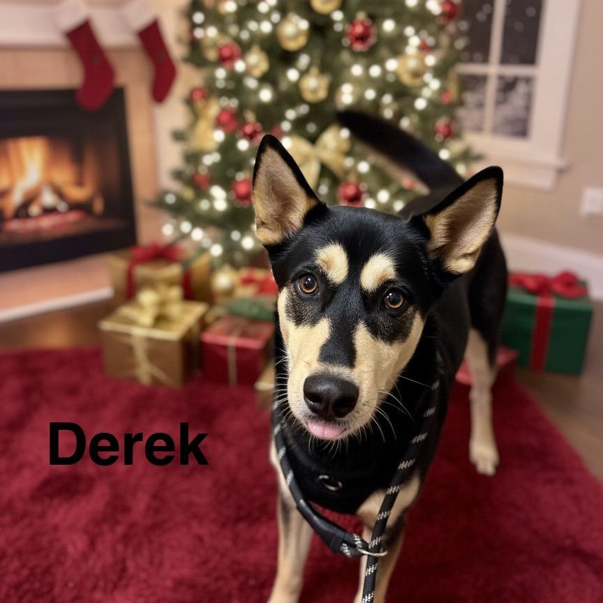 Derek thumbnail 3
