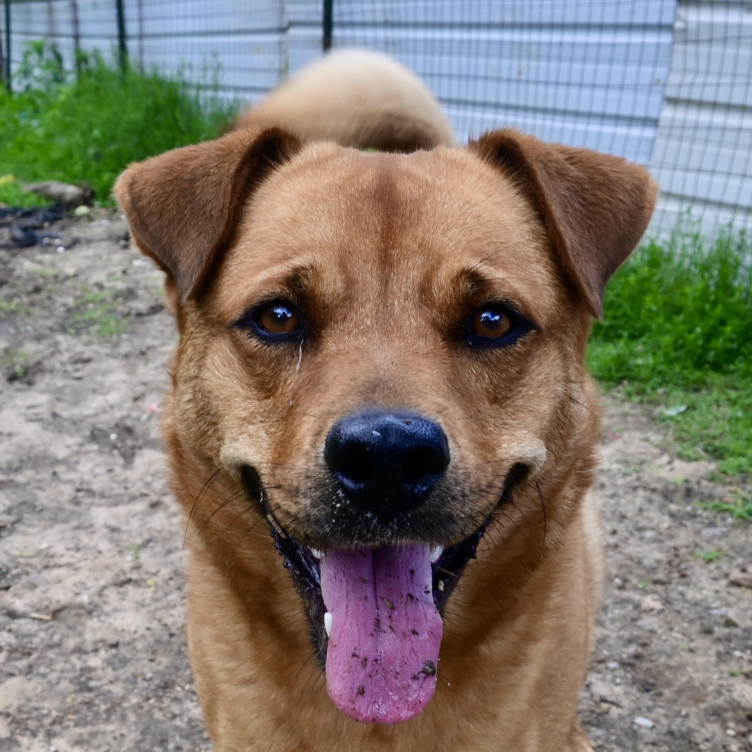 Serena Wiggles — thumbnail 5