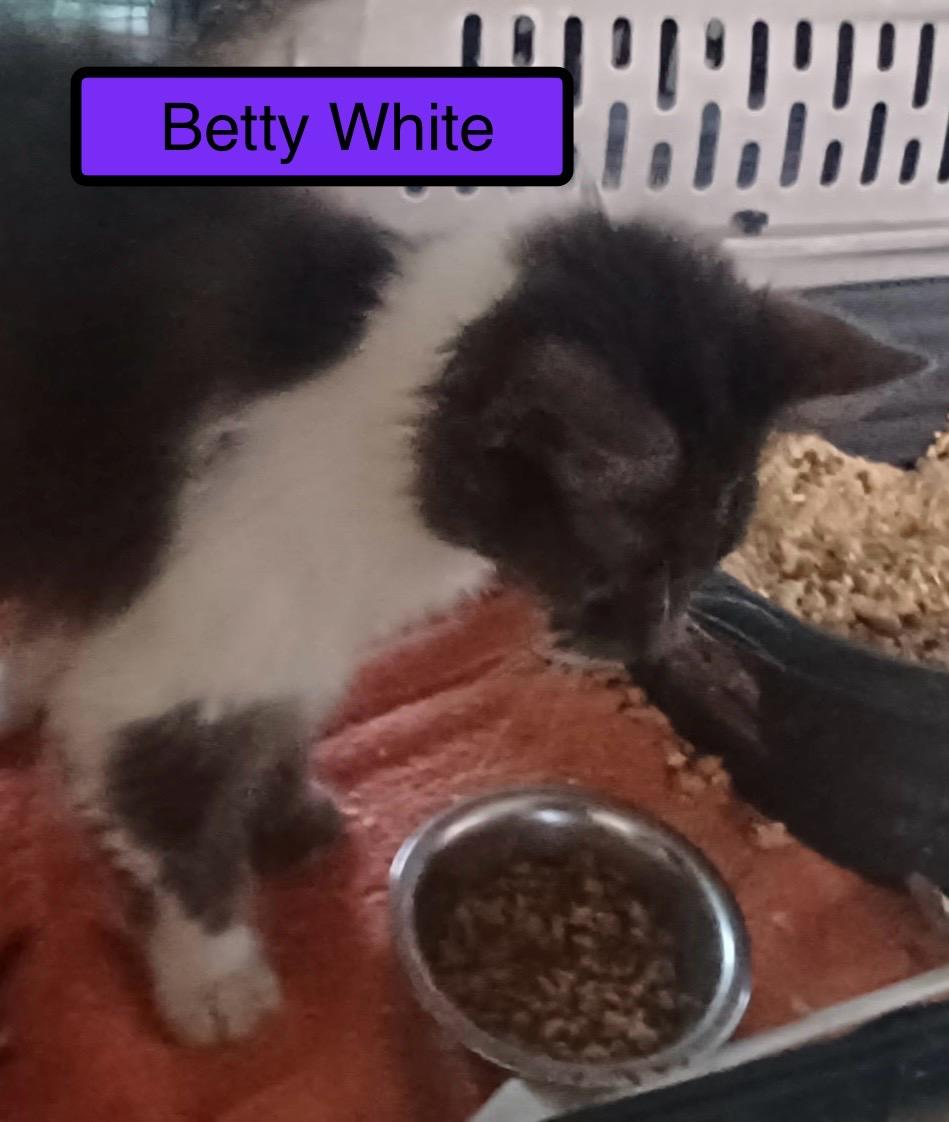 Betty White