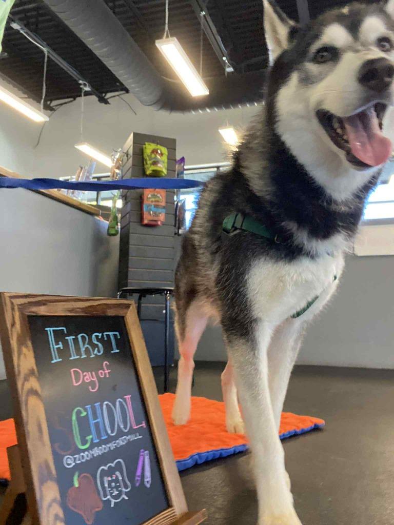 Wild Cherry thumbnail 7