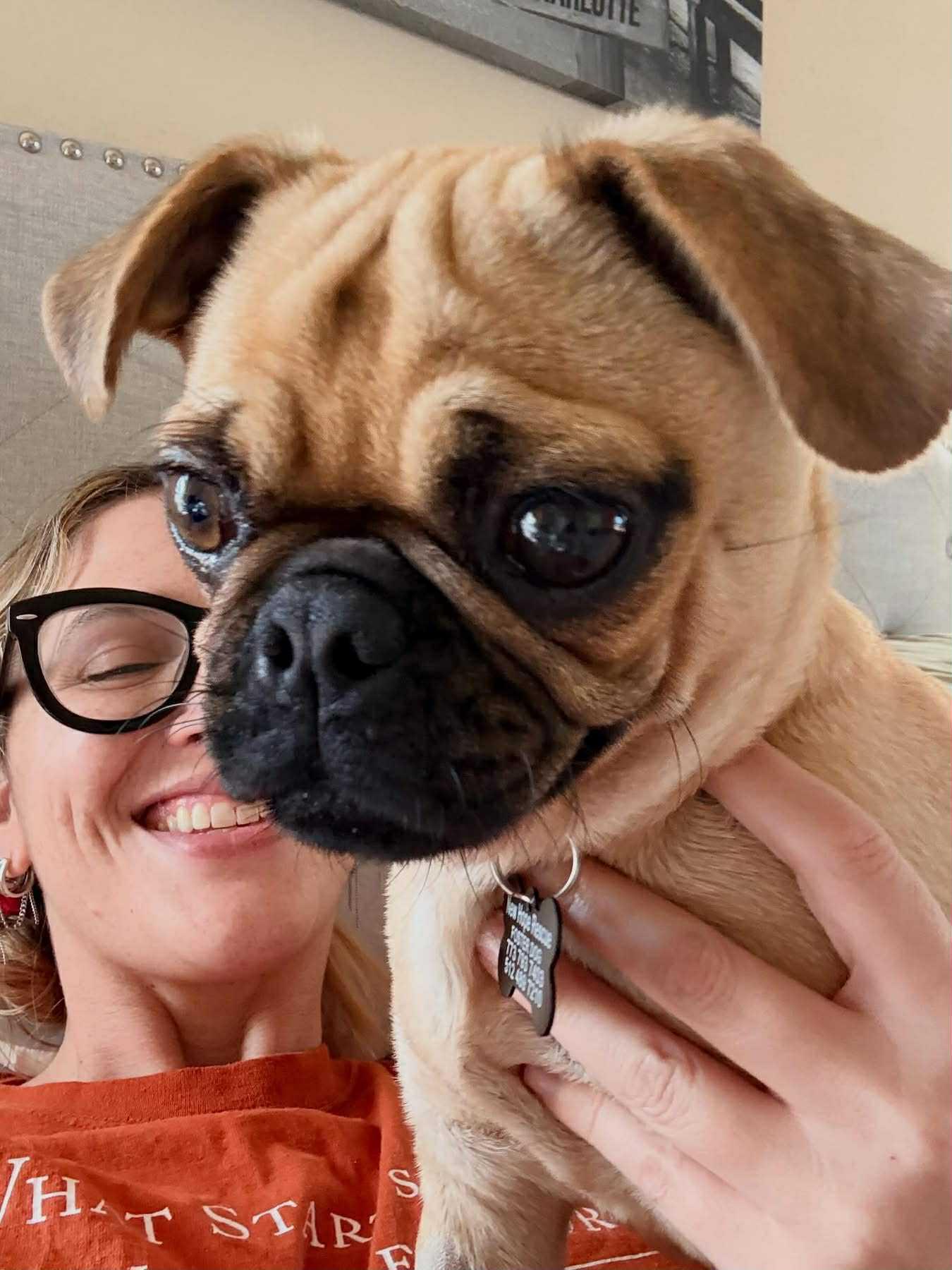 Pibble Von Voldersnort 2