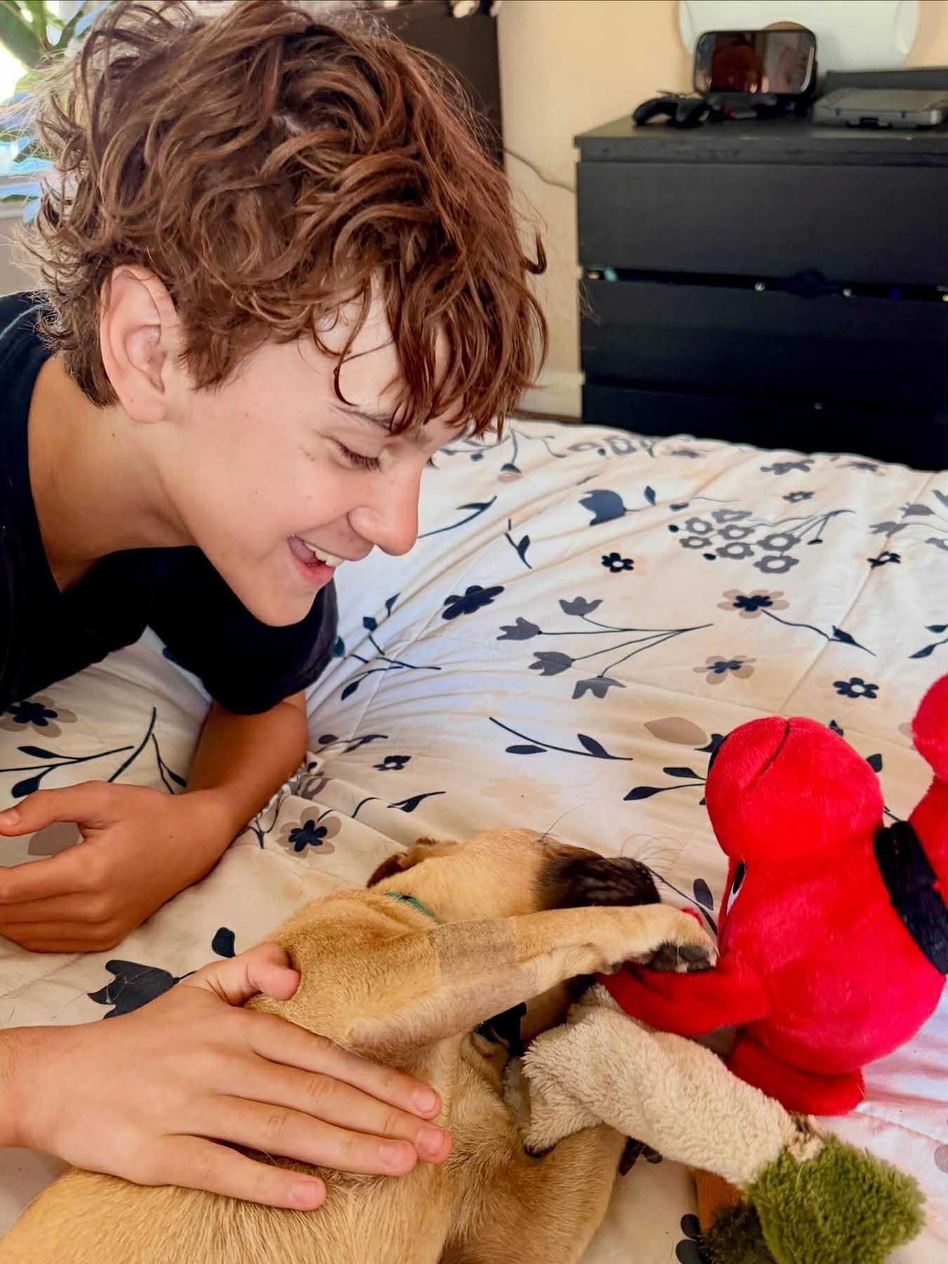 Pibble Von Voldersnort 2