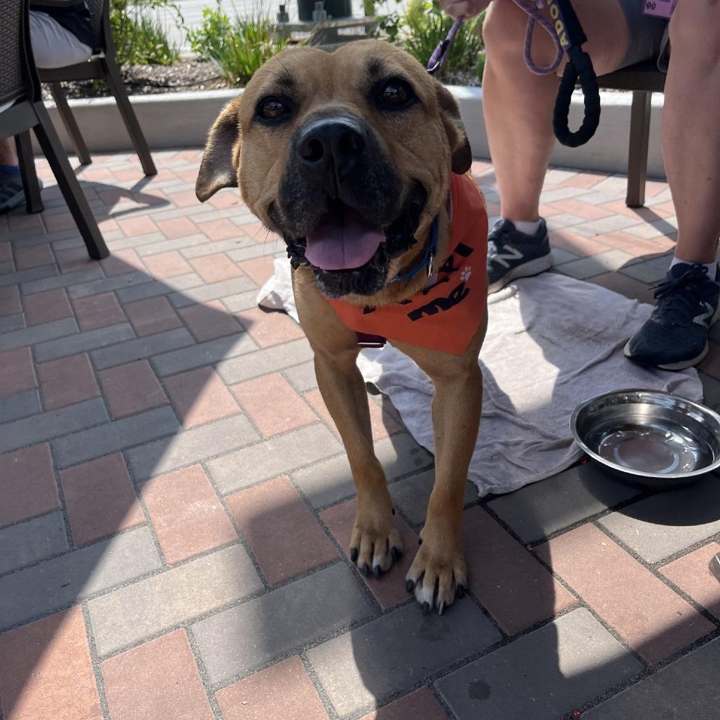 Zippy photo