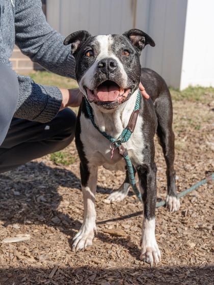 Debby — thumbnail 2