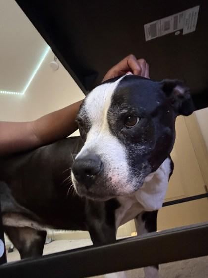 Debby — thumbnail 3