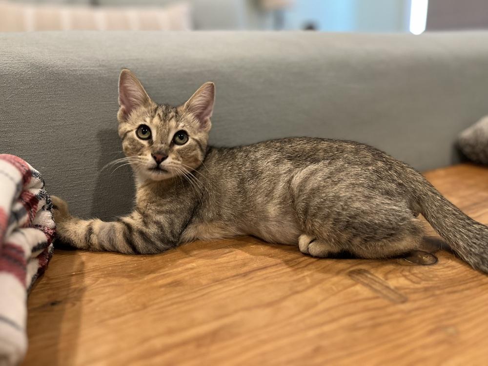 Billy — thumbnail 2