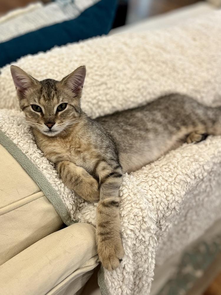 Billy — thumbnail 3