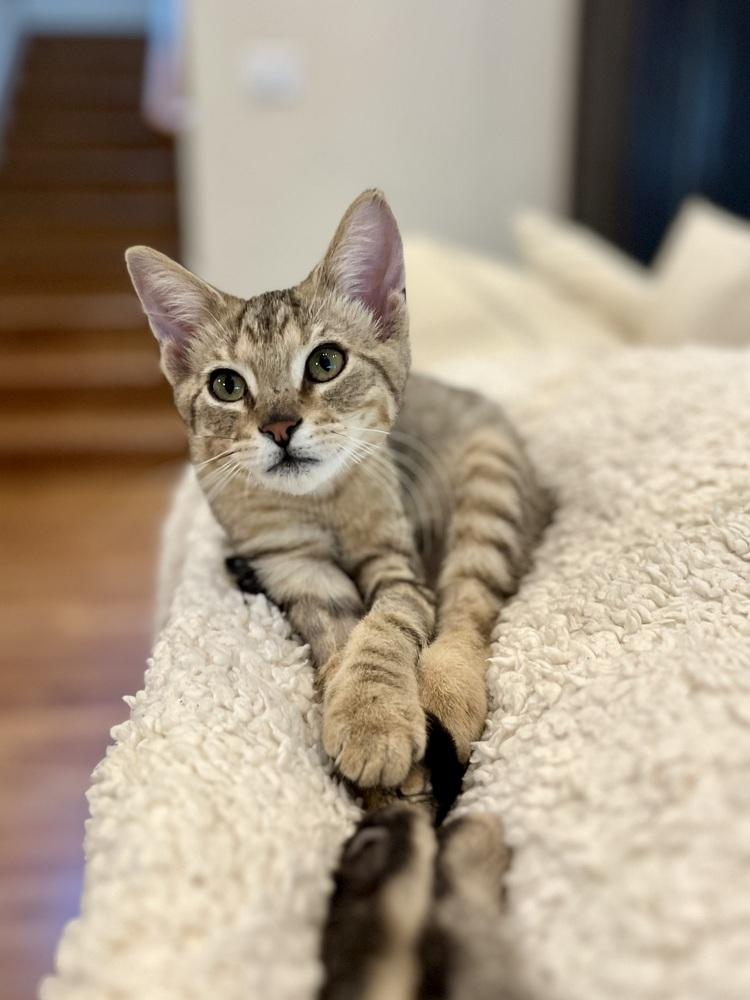 Billy — thumbnail 5