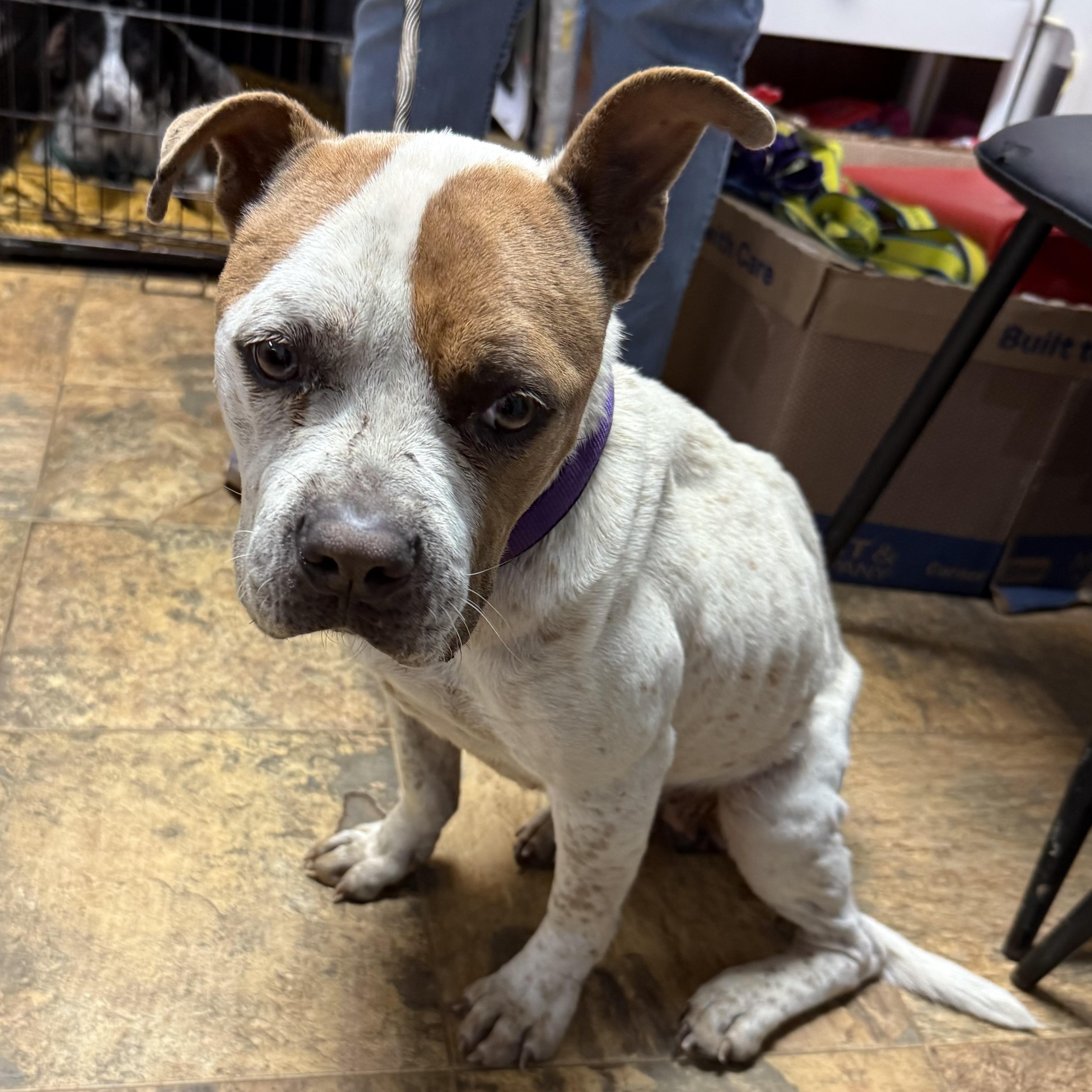 Miracle — thumbnail 3