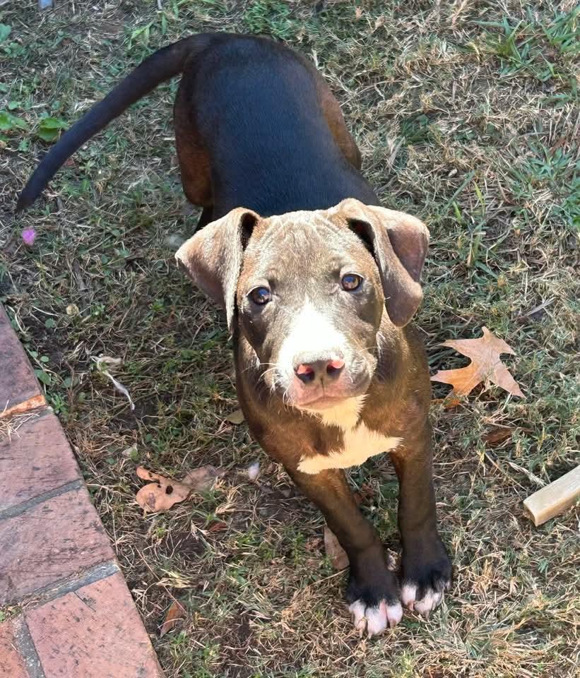 251418 Baby Girl — thumbnail 3