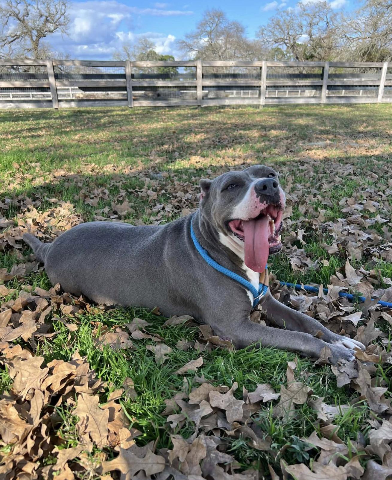 Star — thumbnail 3